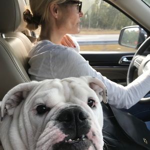 Meet your Posher, Krysten